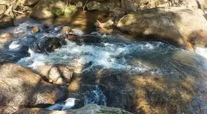Sítio com lago e casa maravilhosa - Imagem 9