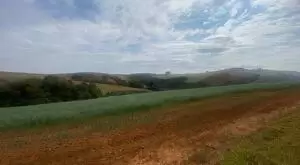 Fazendas das Laranjeiras - Imagem 8