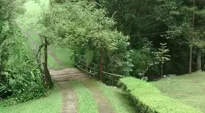 Sitio cinematográfico a venda em São Francisco Xavier - Imagem 8