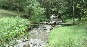 Sitio cinematográfico a venda em São Francisco Xavier - Imagem 9