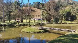 Sítio com lago e casa maravilhosa - Imagem 2