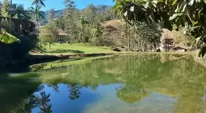 Sítio com lago e casa maravilhosa - Imagem 3