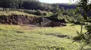 Fazenda a venda com área de 62 alqueires sendo 40 alqueires de eucaliptos - Imagem 4