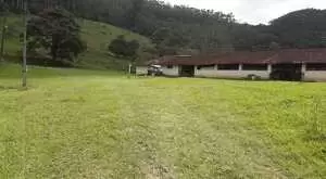 Fazenda a venda com área de 62 alqueires sendo 40 alqueires de eucaliptos - Imagem 6