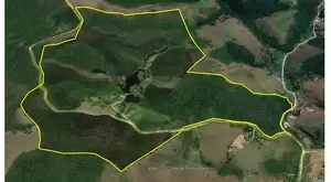 Fazenda a venda com área de 62 alqueires sendo 40 alqueires de eucaliptos - Imagem 9