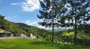 Sítio a venda em Monteiro Lobato - SP - Imagem 7