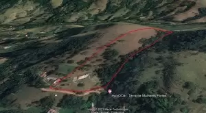 Sítio a venda em Monteiro Lobato - SP - Imagem 8