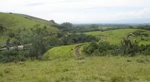 Vários terrenos a venda proximo a cidade de Santo Antonio do Pinhal - Imagem 2