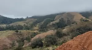 Terreno à Venda - 4 Alqueires no Bairro da Fartura - Imagem 3