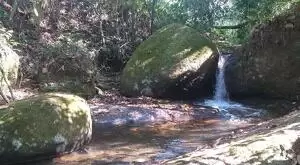 Terreno à Venda - 4 Alqueires no Bairro da Fartura - Imagem 7