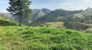 Terreno à Venda - 4 Alqueires no Bairro da Fartura - Imagem 8