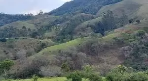 Terreno à Venda - 4 Alqueires no Bairro da Fartura - Imagem 9