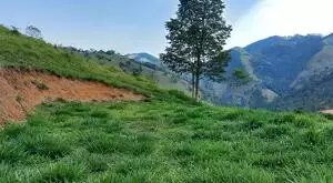 Terreno à Venda - 4 Alqueires no Bairro da Fartura - Imagem 10
