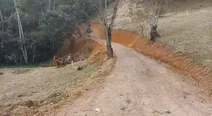 Terreno à Venda - 4 Alqueires no Bairro da Fartura - Imagem 11