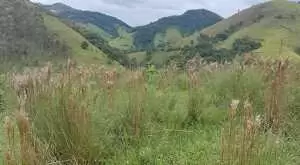 Terreno próximo a cidade e com vista maravilhosa - Imagem 2