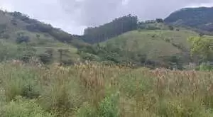 Terreno próximo a cidade e com vista maravilhosa - Imagem 3
