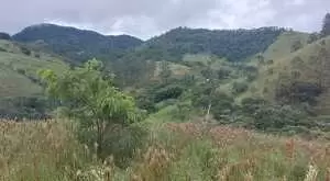 Terreno próximo a cidade e com vista maravilhosa - Imagem 4