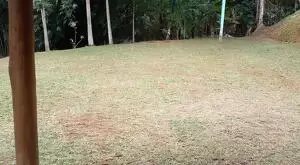 Sítio a venda a 6 KM da praça de São Francisco Xavier - Imagem 7