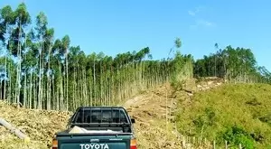 Fazenda com área de 43 Alqueires a venda em São Francisco Xavier
