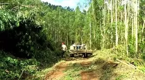 Fazenda com área de 43 Alqueires a venda em São Francisco Xavier - Imagem 2