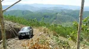 Fazenda com área de 43 Alqueires a venda em São Francisco Xavier - Imagem 3