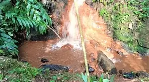 Fazenda com área de 43 Alqueires a venda em São Francisco Xavier - Imagem 4