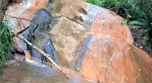 Fazenda com área de 43 Alqueires a venda em São Francisco Xavier - Imagem 5