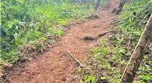 Fazenda com área de 43 Alqueires a venda em São Francisco Xavier - Imagem 15