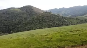 Terreno com área de 20 Mi M² a venda no Rio do Peixe / SFX - Imagem 2