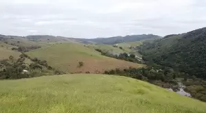 Terreno com área de 20 Mi M² a venda no Rio do Peixe / SFX - Imagem 3