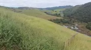 Terreno com área de 20 Mi M² a venda no Rio do Peixe / SFX - Imagem 4