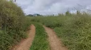 Terreno com área de 20 Mi M² a venda no Rio do Peixe / SFX - Imagem 6