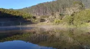Fazenda a venda com área de 62 alqueires sendo 40 alqueires de eucaliptos - Imagem 12