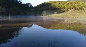 Fazenda a venda com área de 62 alqueires sendo 40 alqueires de eucaliptos - Imagem 13