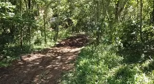 Terreno próximo a cidade e com vista maravilhosa - Imagem 5