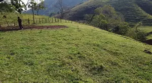 Terreno de 48.000 m² – Vista Maravilhosa em São Francisco Xavier - Imagem 2