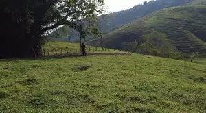 Terreno de 48.000 m² – Vista Maravilhosa em São Francisco Xavier - Imagem 3