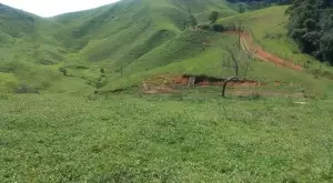 Terreno de 48.000 m² – Vista Maravilhosa em São Francisco Xavier - Imagem 5