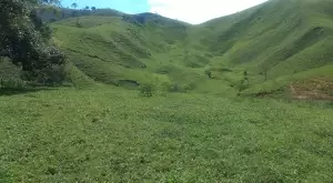 Terreno de 48.000 m² – Vista Maravilhosa em São Francisco Xavier - Imagem 6
