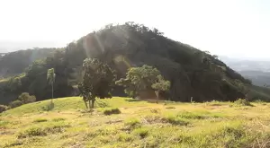 EMPREENDIMENTO COM 29 LOTES A VENDA - Imagem 5