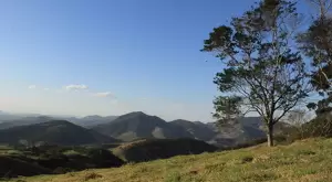 EMPREENDIMENTO COM 29 LOTES A VENDA - Imagem 6