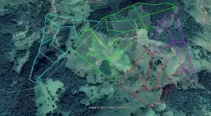 EMPREENDIMENTO COM 29 LOTES A VENDA - Imagem 7