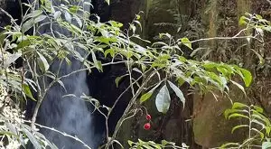 Terreno com cachoeiras maravilhosa a venda - Imagem 2
