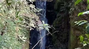Terreno com cachoeiras maravilhosa a venda - Imagem 4
