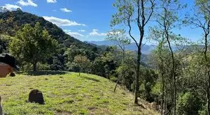 Terreno com cachoeiras maravilhosa a venda - Imagem 7