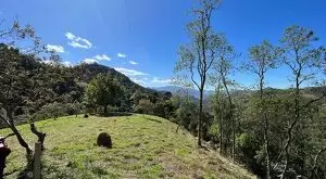 Terreno com cachoeiras maravilhosa a venda - Imagem 8