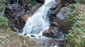 Sítio com riacho e cachoeira - Imagem 5
