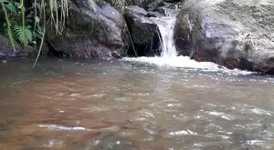 Sítio com riacho e cachoeira - Imagem 6