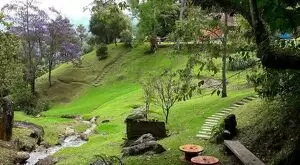 Sítio com riacho e cachoeira - Imagem 15