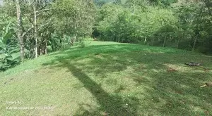 Sítio com riacho e cachoeira - Imagem 19